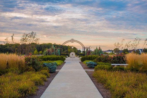 Coxhall Gardens
