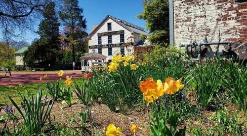 A vibrant garden with yellow and orange flowers in the foreground, featuring a historic building in the background.