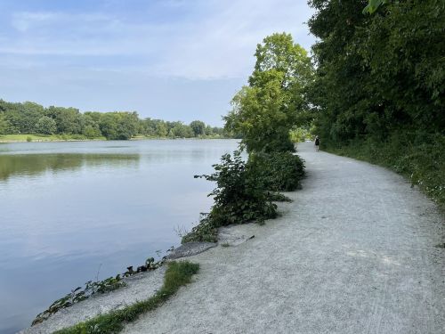 A serene riverside path lined with greenery, leading to calm waters under a clear blue sky.