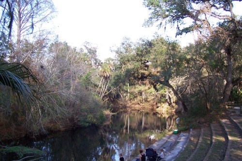 A serene riverbank scene with trees and a calm waterway, surrounded by lush greenery and a clear sky.