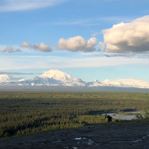 A scenic view of snow-capped mountains under a blue sky, with lush green forests in the foreground.