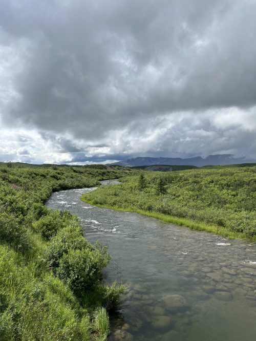 A winding river flows through lush green vegetation under a cloudy sky, with mountains in the distance.