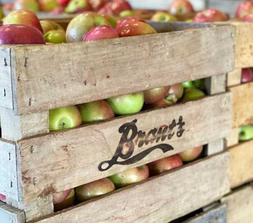 Wooden crates filled with red and green apples, labeled "Brant's."