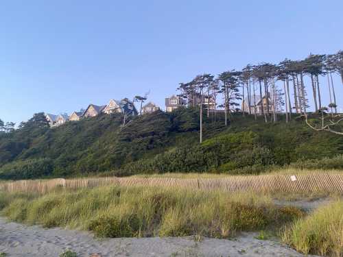 A hillside with houses surrounded by trees and tall grass, overlooking a sandy beach under a clear blue sky.