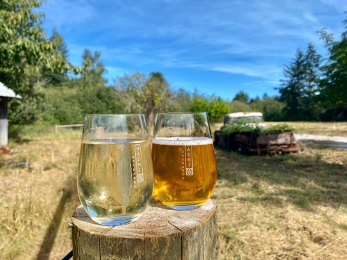 Two glasses of beverage, one clear and one golden, sit on a wooden post with a sunny outdoor scene in the background.