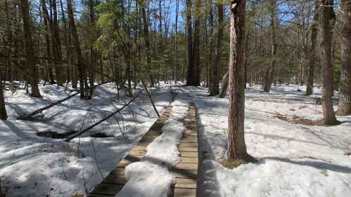 A wooden boardwalk leads through a snowy forest with trees and blue sky visible in the background.