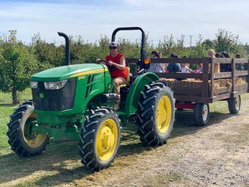 A green tractor pulls a hay-filled wagon with people enjoying a ride through an orchard on a sunny day.