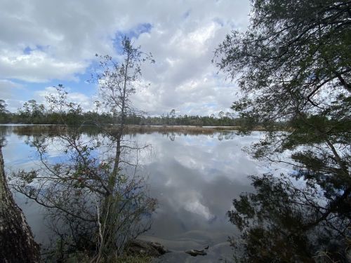 A serene lake reflecting trees and clouds, surrounded by lush greenery under a partly cloudy sky.