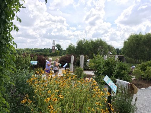 Two people explore a garden filled with yellow flowers and informational signs, under a cloudy sky.