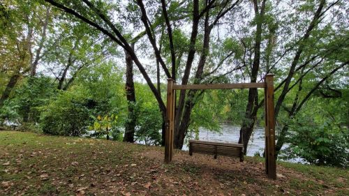 A wooden swing set by a river, surrounded by lush green trees and fallen leaves on the ground.