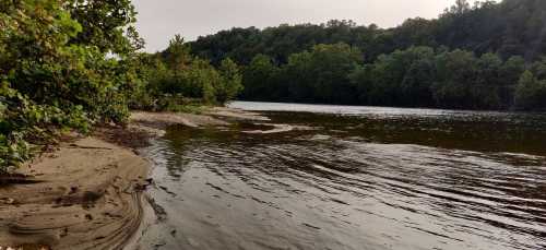 A serene riverbank scene with gentle waves, sandy shore, and lush green trees lining the water's edge.