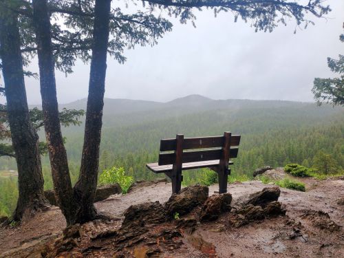 A wooden bench overlooks a misty forested landscape, surrounded by trees and rocky terrain.
