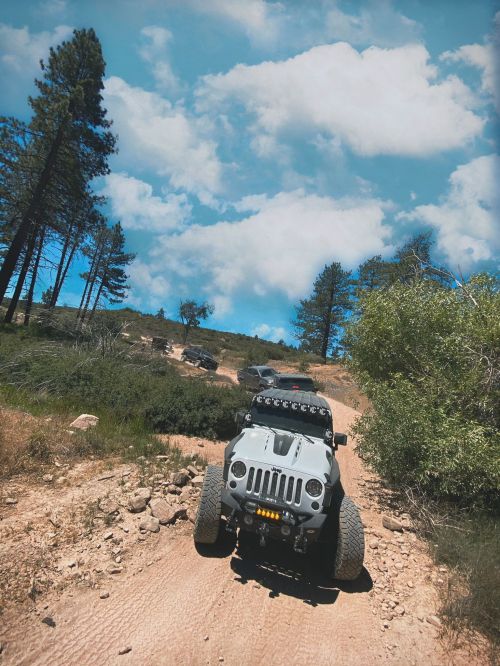 A gray off-road vehicle drives along a rugged dirt path surrounded by trees and blue skies.