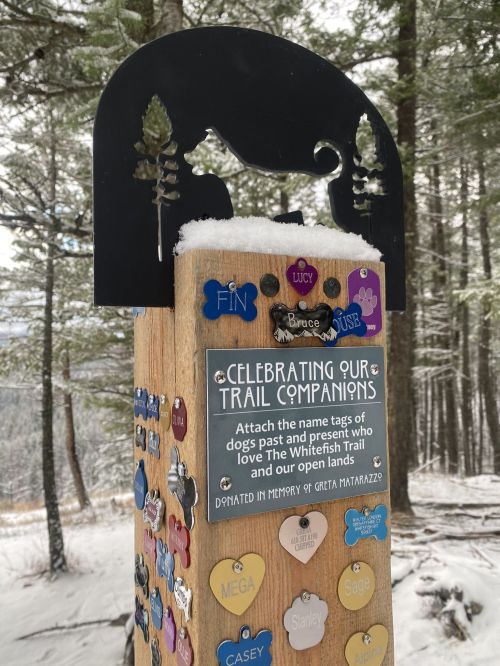 A wooden trail sign with a cat silhouette, displaying name tags of dogs and a plaque honoring trail companions. Snow on the ground.