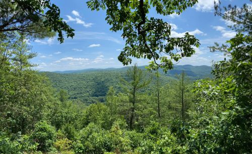 A scenic view of lush green mountains under a bright blue sky with scattered clouds, framed by tree branches.