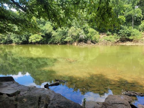 A serene river scene with green trees reflecting in calm water, surrounded by rocky banks and lush foliage.