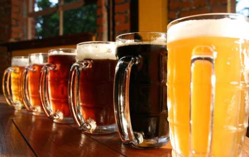 A row of five beer mugs filled with different types of beer, showcasing various colors and styles.