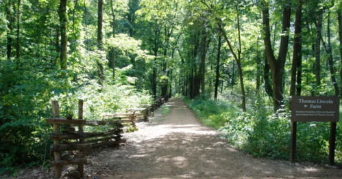 A dirt path through a lush green forest, lined with wooden fences and a sign for Thomas Lincoln Farm.