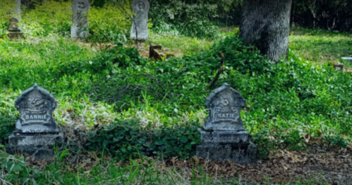 Two old gravestones, one marked "Dannie" and the other "Katie," surrounded by overgrown grass and greenery.