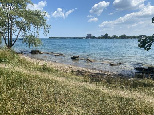 A serene lakeside view with rocky shore, grassy area, and a clear blue sky dotted with clouds.
