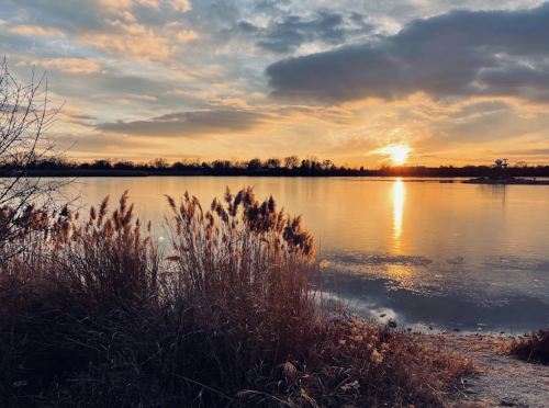 Sunset over a calm lake, with tall grasses in the foreground and clouds reflecting warm colors in the sky.