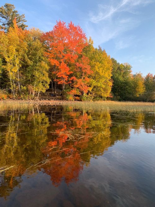 Vibrant autumn trees with red and yellow leaves reflected in calm water under a clear blue sky.