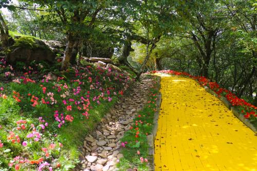 A vibrant garden path with a yellow brick road surrounded by colorful flowers and lush greenery.
