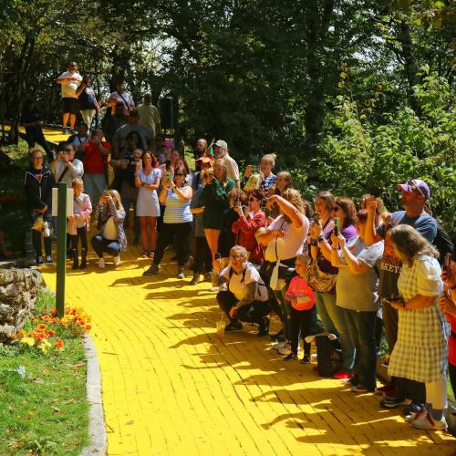 A crowd of people stands on a yellow brick path, taking photos and enjoying a sunny outdoor event surrounded by greenery.