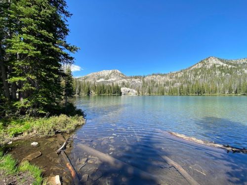 A serene lake surrounded by trees and mountains under a clear blue sky. Reflections shimmer on the water's surface.