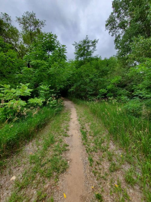 A narrow dirt path winds through lush green foliage under a cloudy sky.