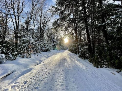 A snowy path through trees, with sunlight shining in the distance, creating a serene winter scene.