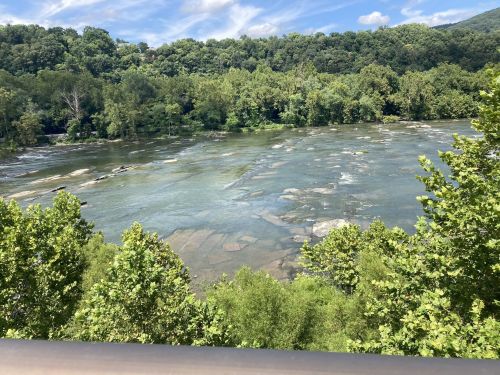 A serene river flows through lush greenery under a blue sky with scattered clouds.