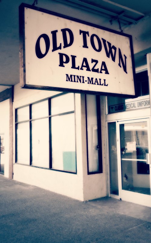 Sign for "Old Town Plaza Mini-Mall" displayed above a storefront with large windows and a nearby entrance.