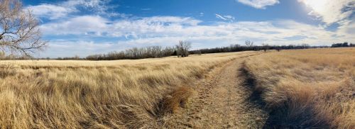 A panoramic view of a grassy field with a dirt path, under a blue sky with scattered clouds.