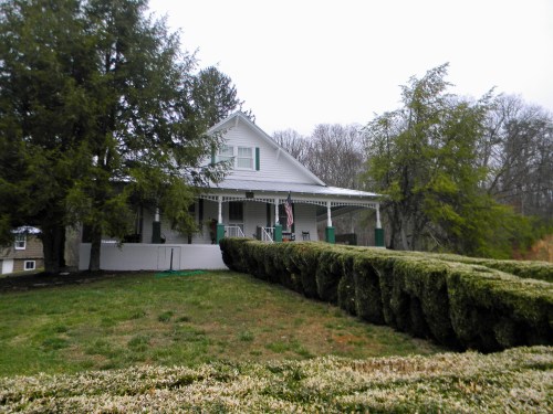A white house with a porch, surrounded by neatly trimmed hedges and trees, on a foggy day.