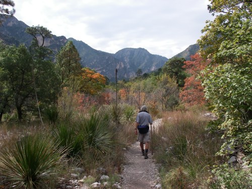 A person walks along a trail surrounded by colorful trees and mountains in a scenic landscape.