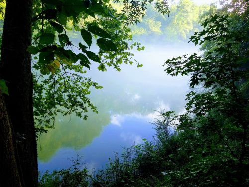 A serene river scene surrounded by lush greenery and mist, reflecting the trees and sky above.
