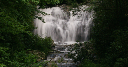 A serene waterfall cascading over rocks, surrounded by lush green foliage.