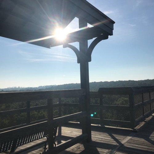 Sunlight shines through a wooden gazebo, casting shadows on a scenic overlook with trees in the distance.