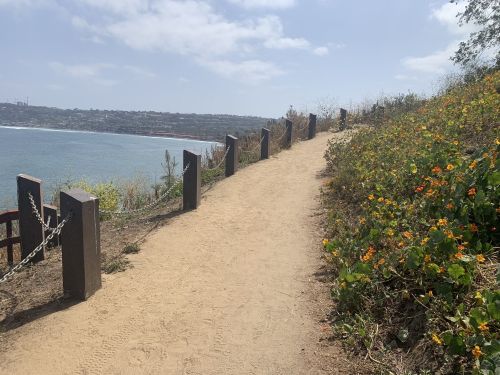A sandy path along a coastal area, lined with flowers and wooden posts, overlooking the ocean under a cloudy sky.