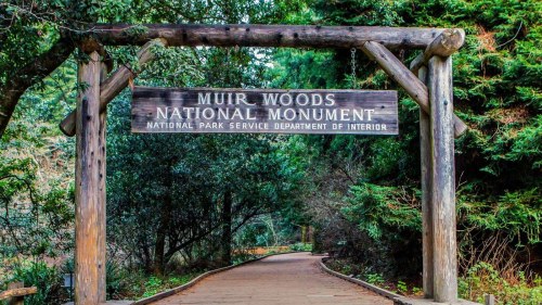 Wooden sign at the entrance of Muir Woods National Monument, surrounded by lush greenery and a winding path.