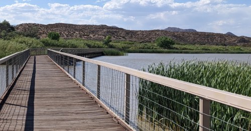 A boardwalk leads over a wetland with mountains and desert views in the distance.