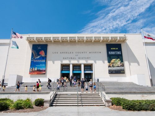Exterior of the Los Angeles County Museum of Natural History, with visitors and banners on a sunny day.