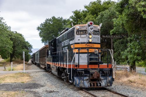 A vintage diesel locomotive on tracks, surrounded by trees and gravel, with freight cars attached behind it.