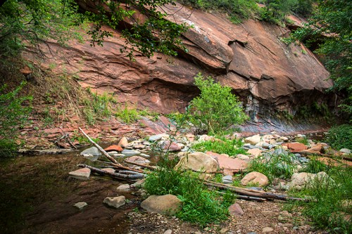A serene landscape featuring a rocky riverbank, lush greenery, and a backdrop of red rock formations.