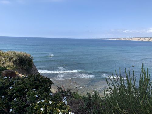 A serene coastal view with gentle waves, rocky shoreline, and lush greenery in the foreground under a clear blue sky.