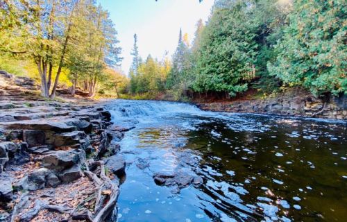 A serene river flows over rocks, surrounded by lush green trees and autumn foliage under a clear blue sky.