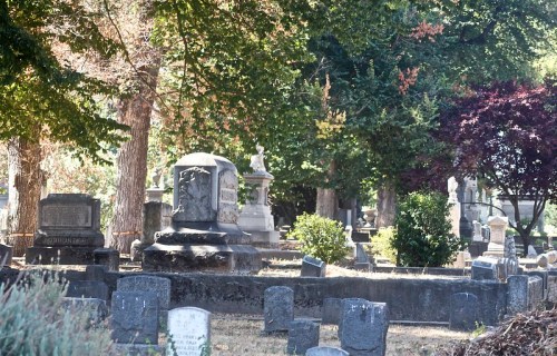 A serene cemetery scene with various gravestones surrounded by trees and greenery.