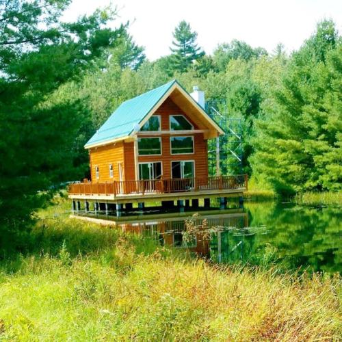 A wooden cabin with a green roof sits by a calm pond, surrounded by lush trees and greenery.
