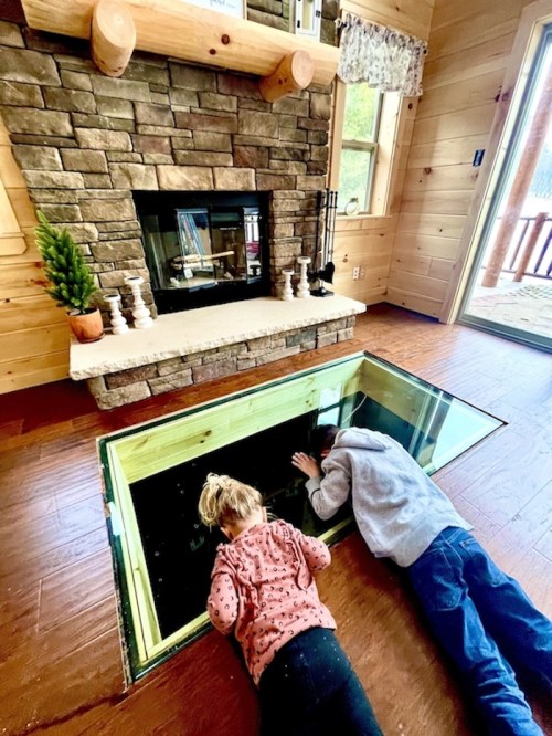 Two children lie on the floor, peering through a glass panel into a dark space below, with a stone fireplace in the background.
